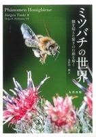 ミツバチの世界   個を超えた驚きの行動を解く