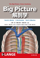 Lange Textbook シリーズ Big Picture 解剖学