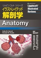 リッピンコットシリーズ イラストレイテッド解剖学